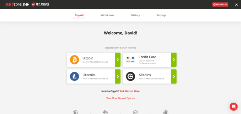 BetOnline deposit method as seen when testing