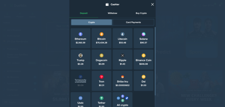 Duelbits deposit method as seen when testing