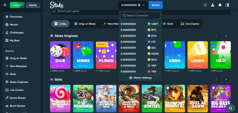 Stake casino Payment method