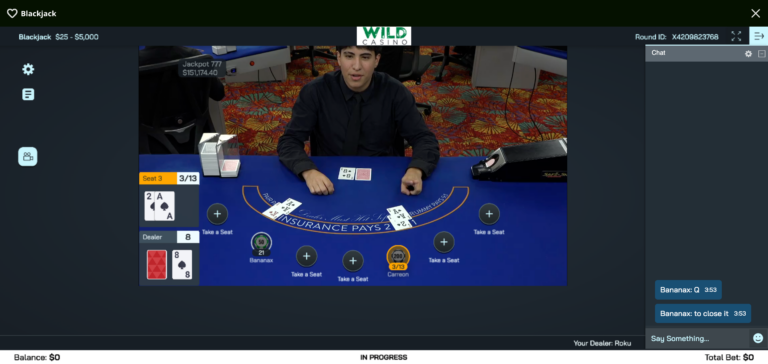 Wild casino live blackjack when testing showing dealer and table