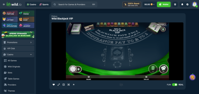 wild.io Blackjack as seen on testing