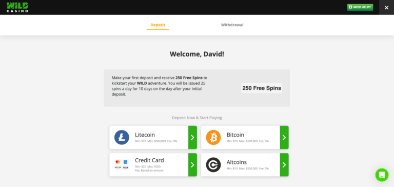 Wild Casino deposit method when testing